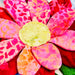 Colorful fabric flower with pink, red, and orange petals on a white background